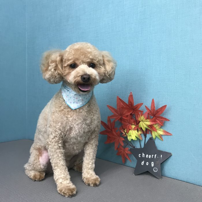 角村　ルルくん