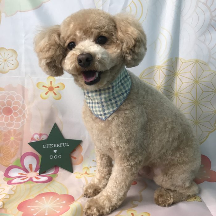 角村　ルルくん