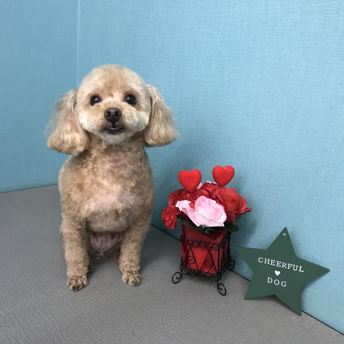 杉森　リキくん