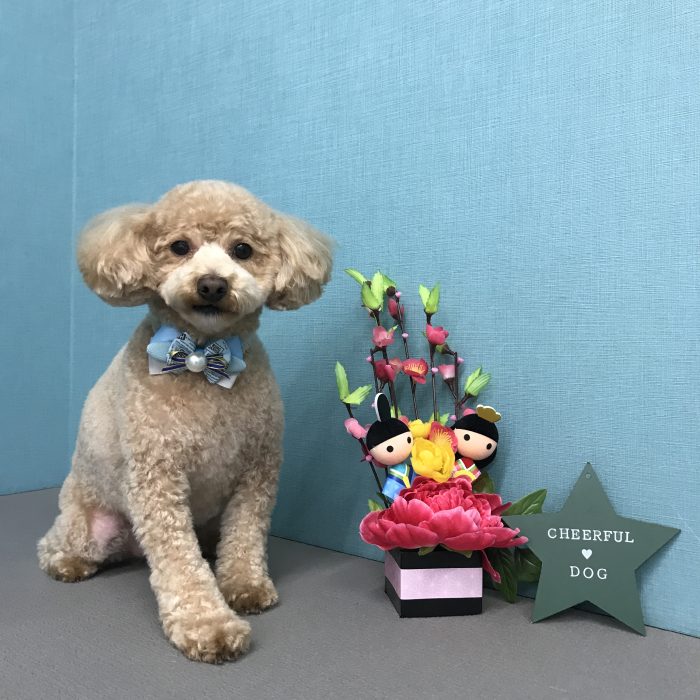 角村　ルルくん