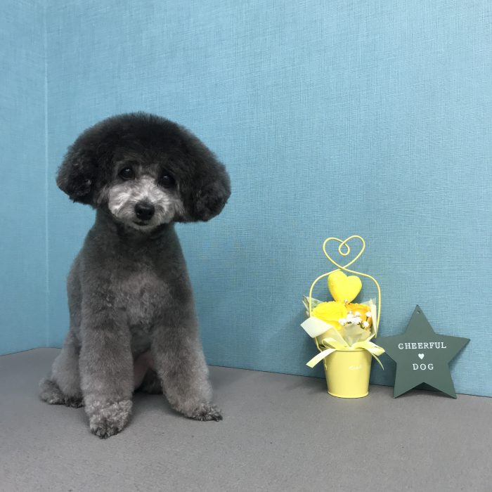 甲野　もなかちゃん