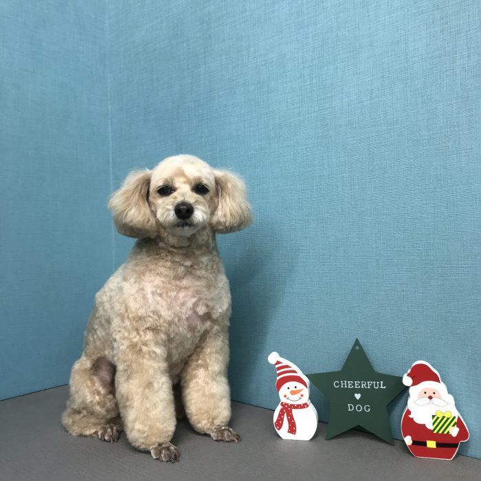 向出　ロックくん