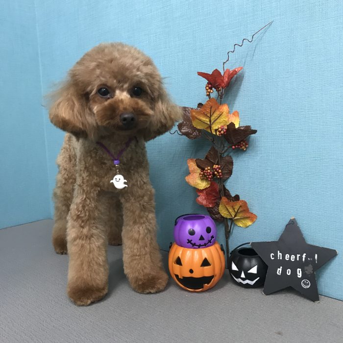 江崎　アランくん