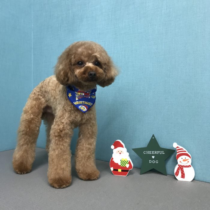 江崎　アランくん