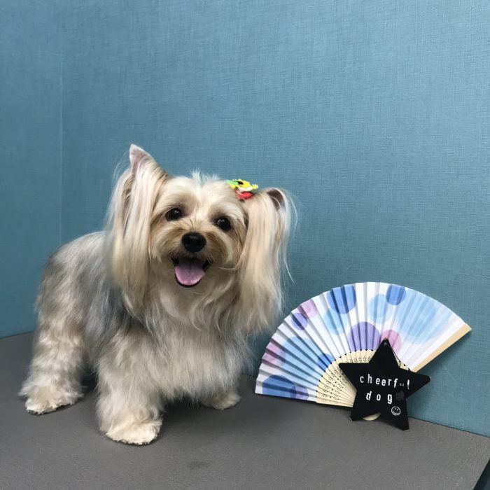 前川　リーちゃん