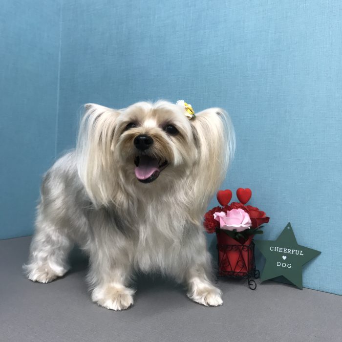 前川　リーちゃん