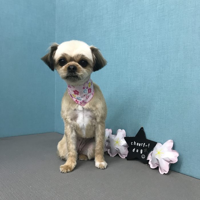 杉村　くうちゃん