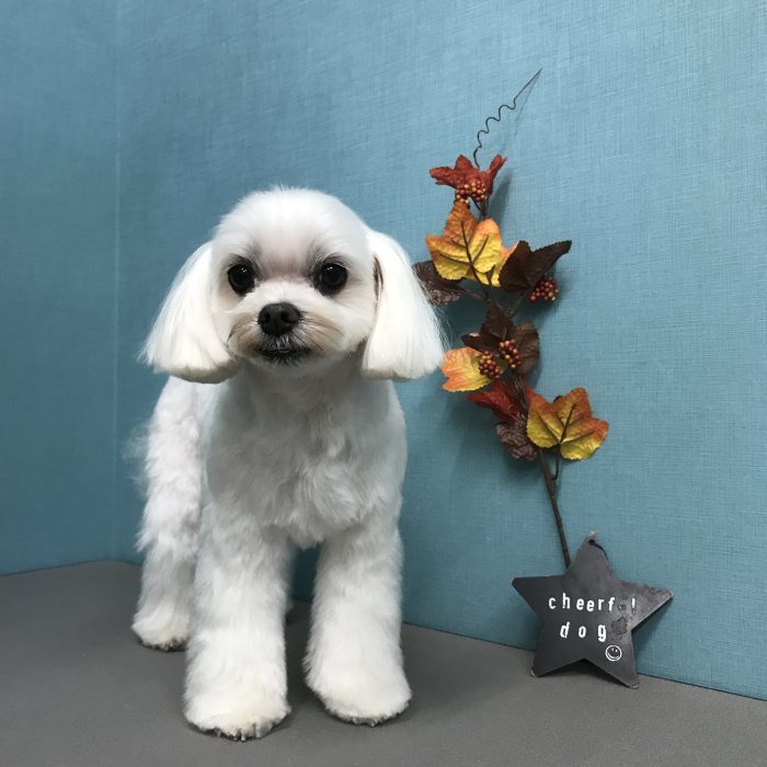 水野　まるくん