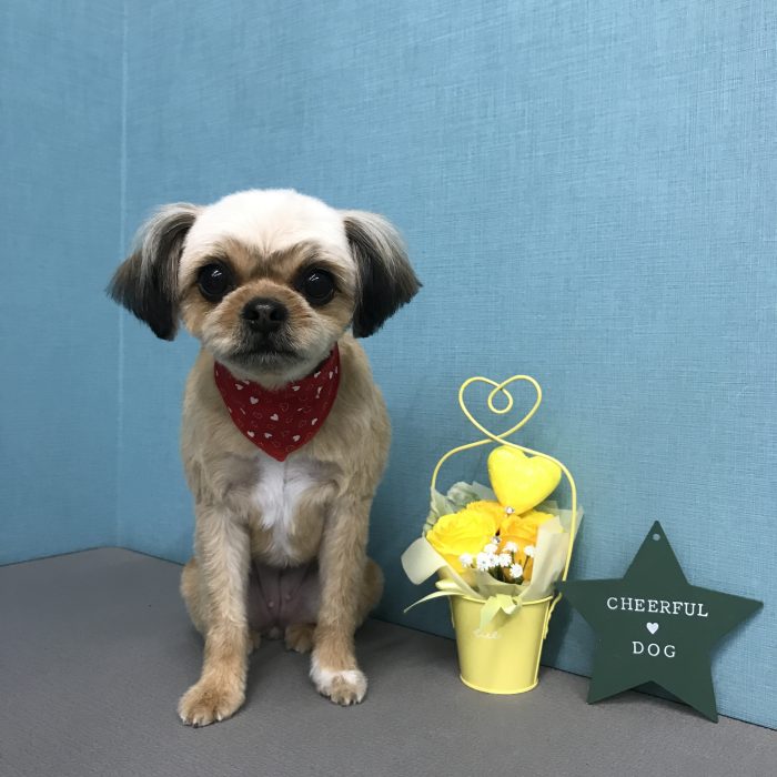 杉村　くうちゃん