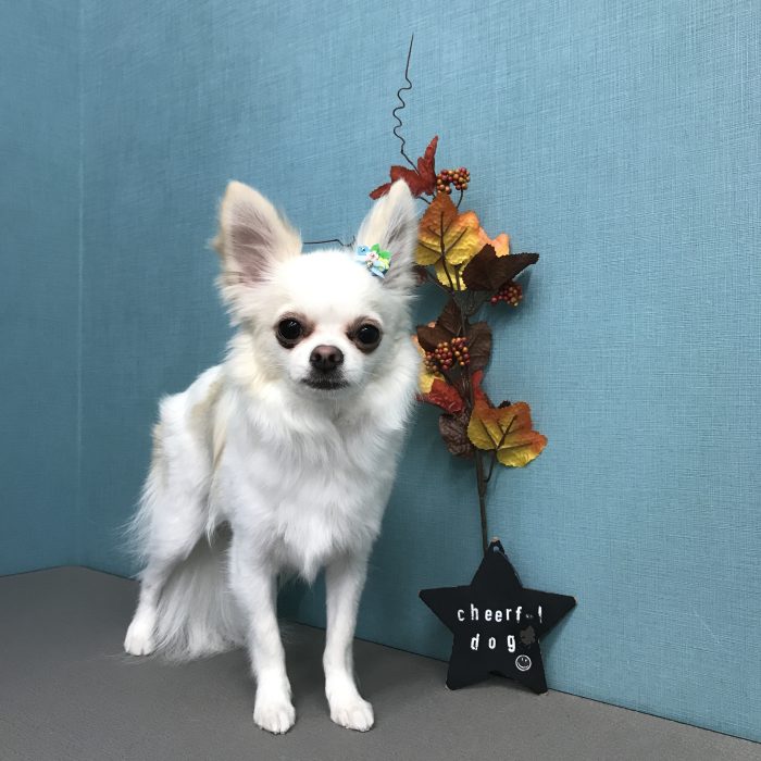 高居　リムくん