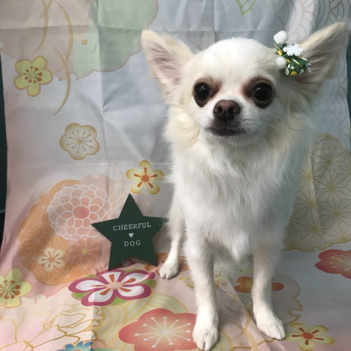 高居　リムくん