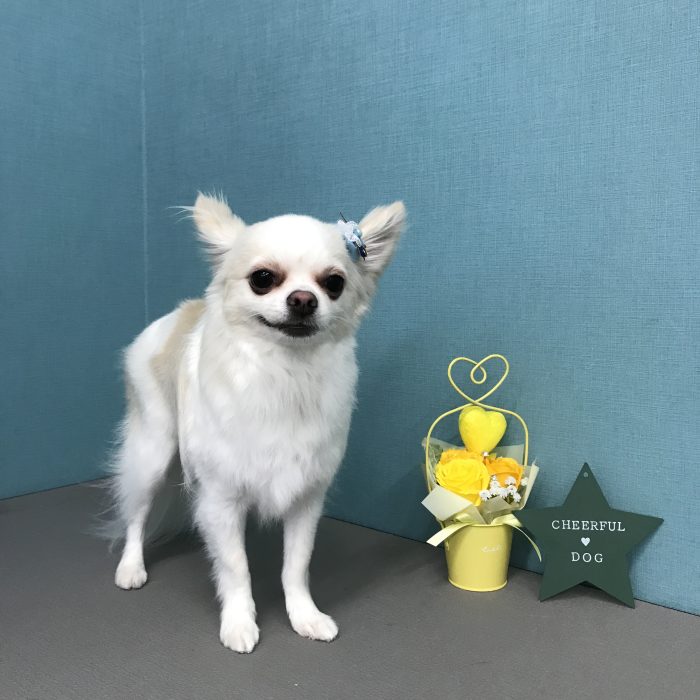 高居　リムくん