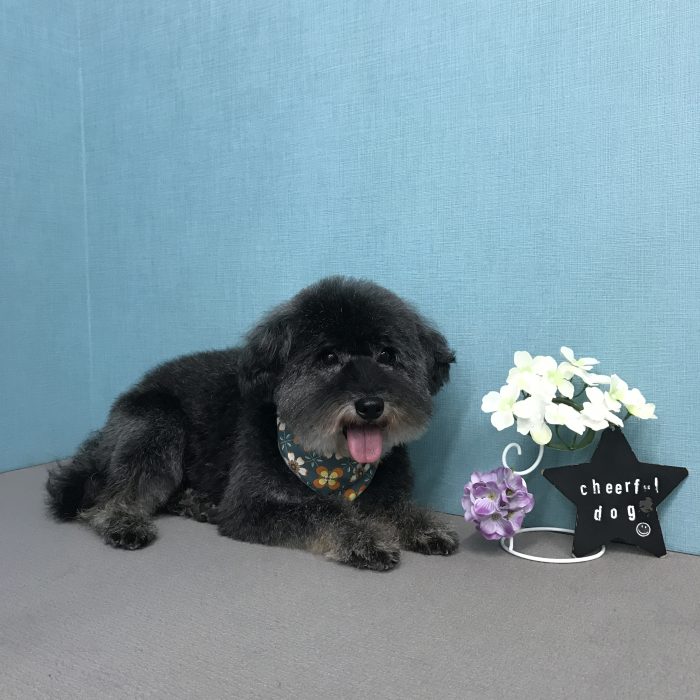 岡田　パトくん