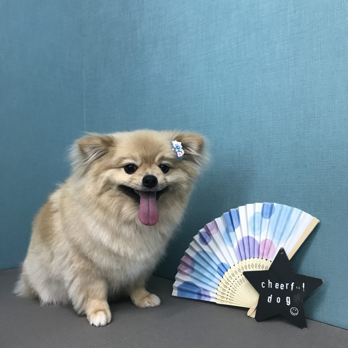 林　くうちゃん