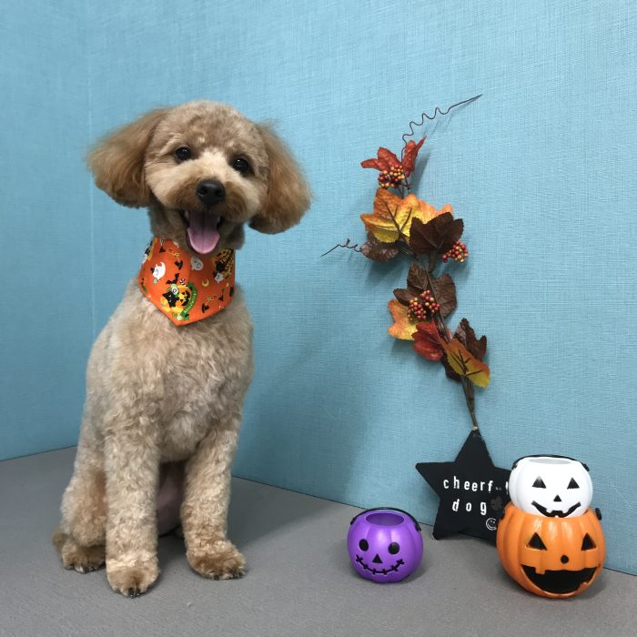 南　アニーちゃん