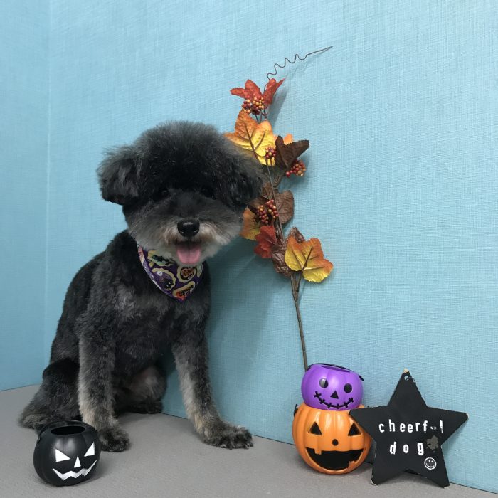 岡田　パトくん