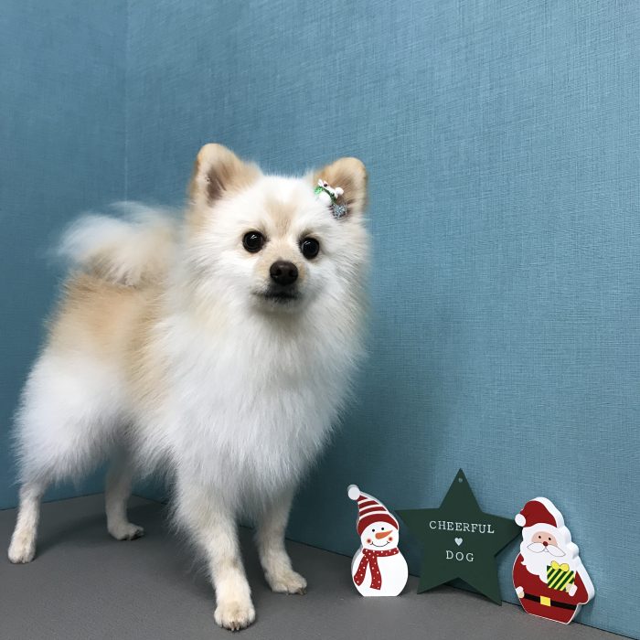 水上　ライムくん