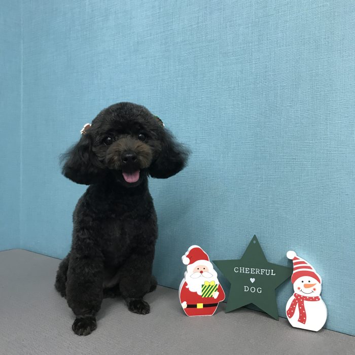 松井　もこちゃん