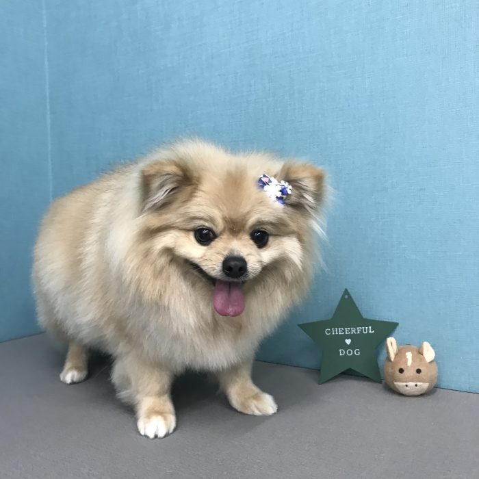 林　くうちゃん