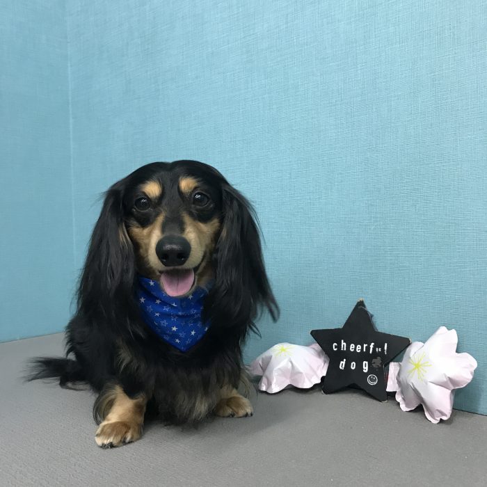 田中　タイソンくん
