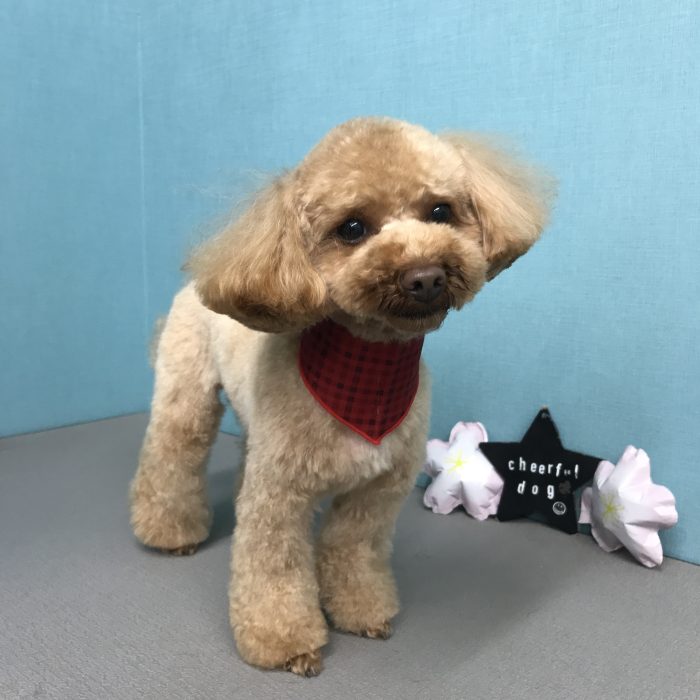 大橋　めるちゃん