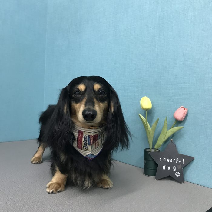 田中　タイソンくん