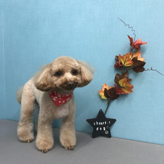 大橋　めるちゃん