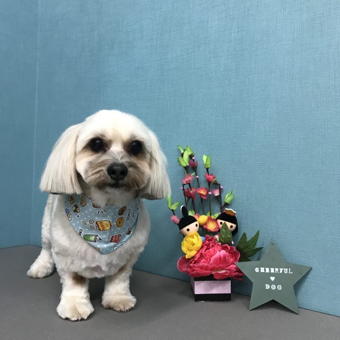 山本　モルトくん