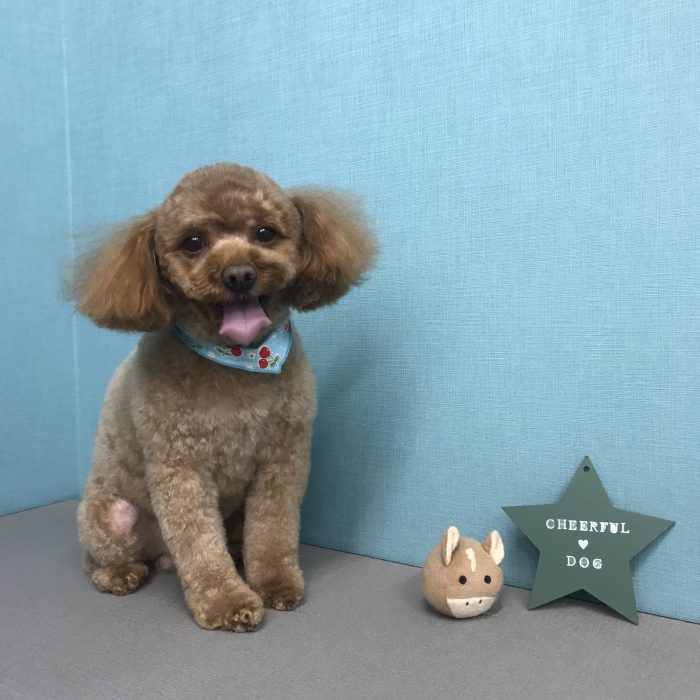 飯田　チョコくん