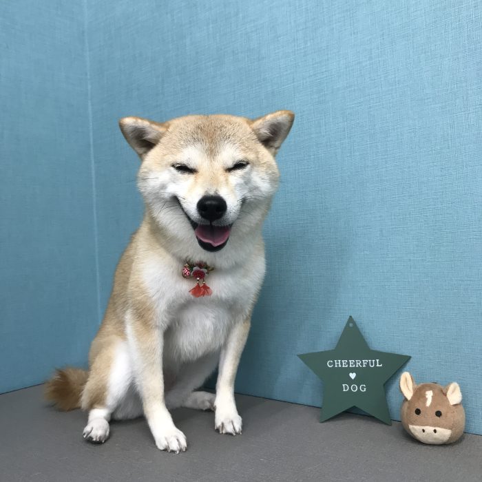 安田　すいちゃん