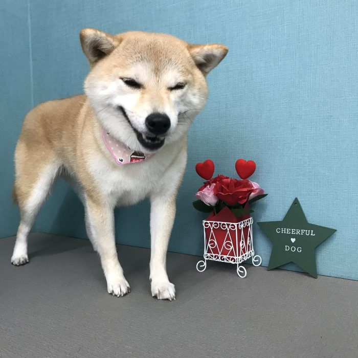 安田　すいちゃん