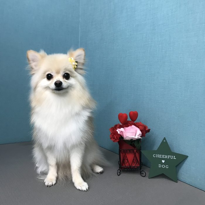 沖津　ちくわちゃん