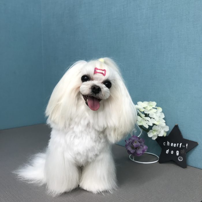 山下　おはなちゃん