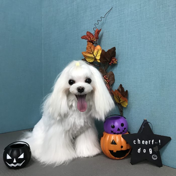 山下　おはなちゃん