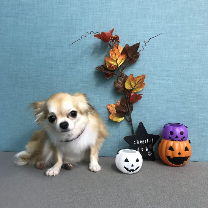 上川　うゆちゃん