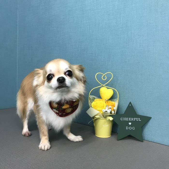 上川　うゆちゃん