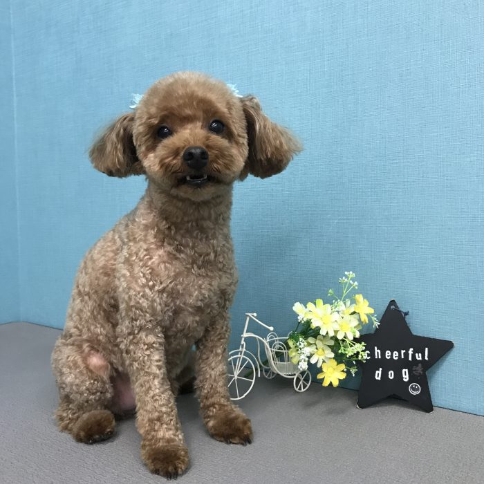 西出　ちょこくん