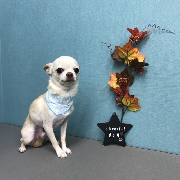 西田　あおくん