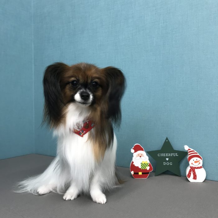 中村　アーニャちゃん