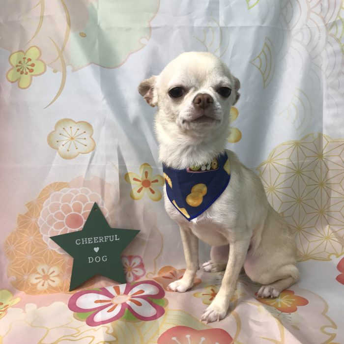 西田　あおくん