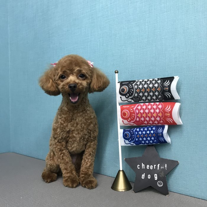 岩内　ココちゃん