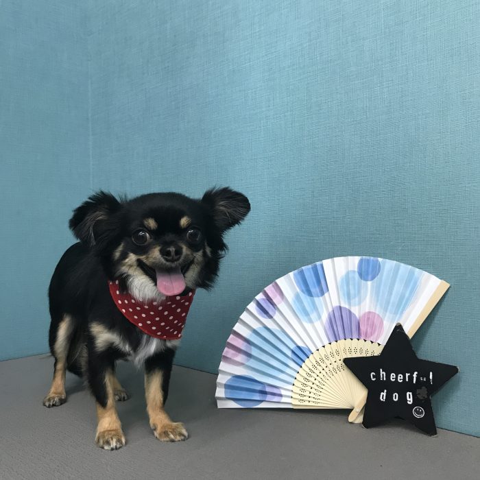 太田　らむねちゃん