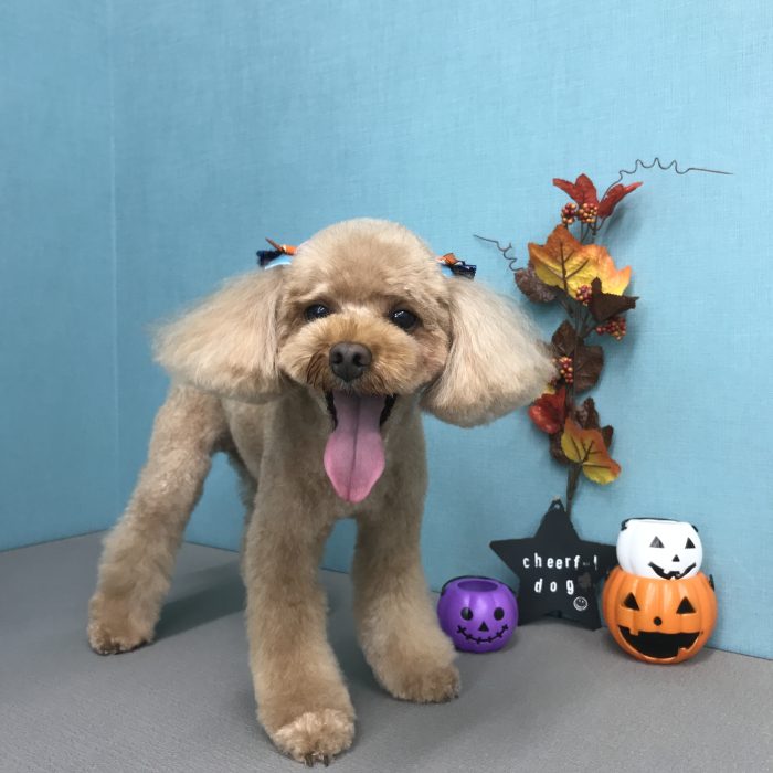 長　ピースくん