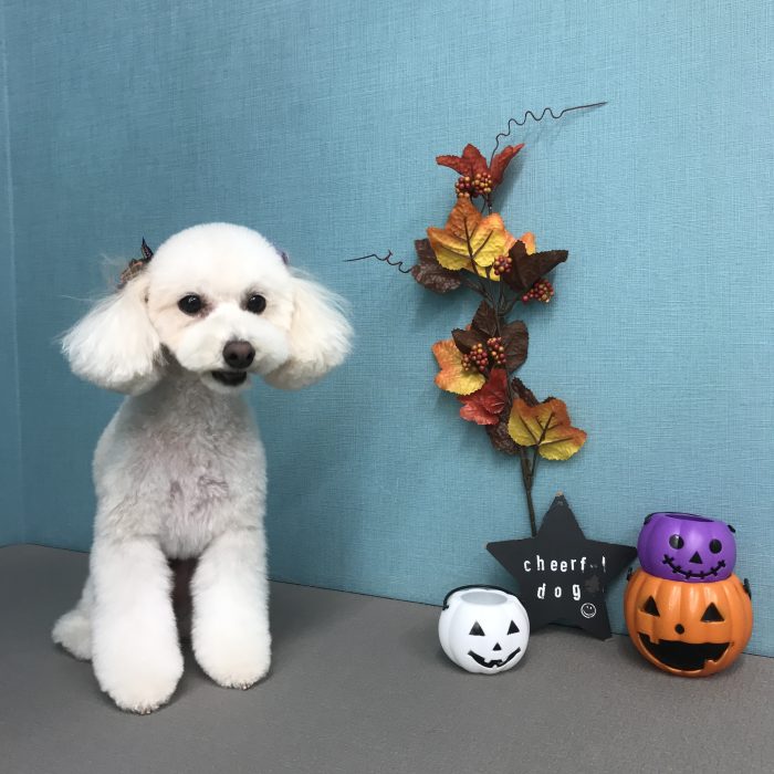 長　サニーちゃん