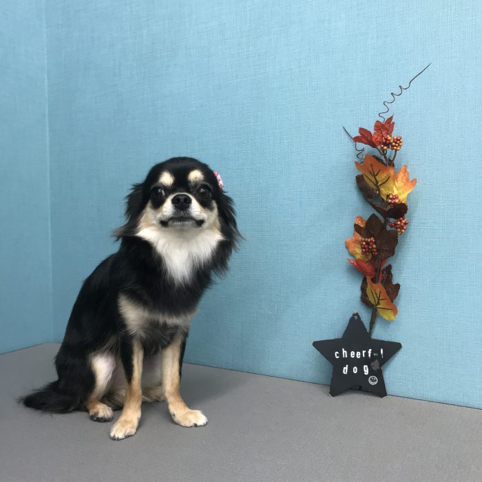 西森　ムギちゃん