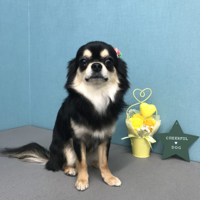 西森　ムギちゃん