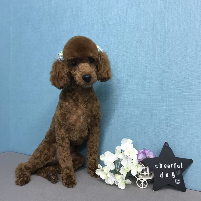 吉田　らいむくん