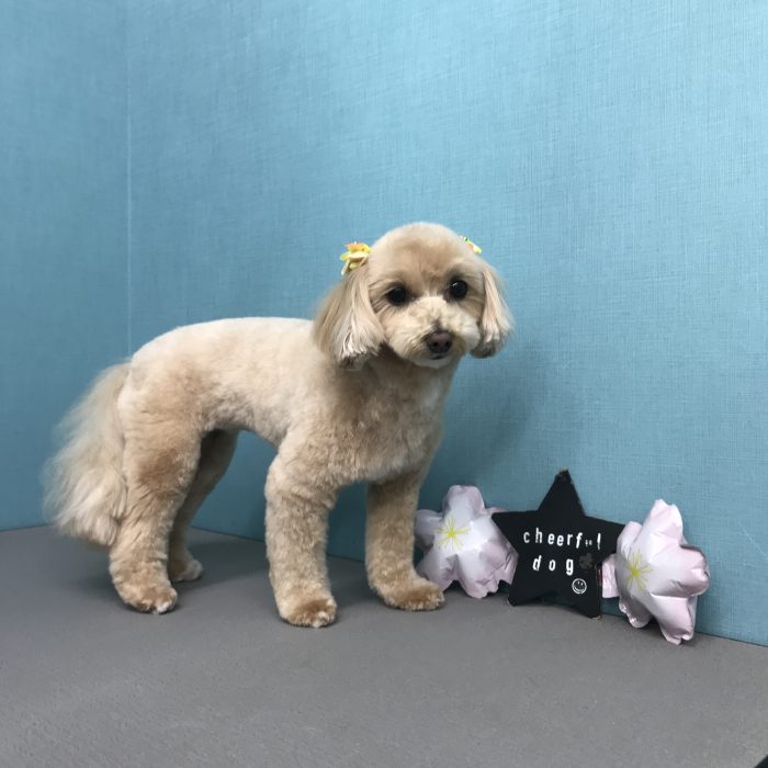 土田　ウルちゃん