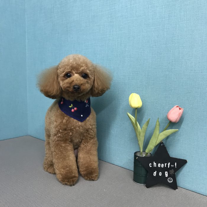 西村　すいちゃん