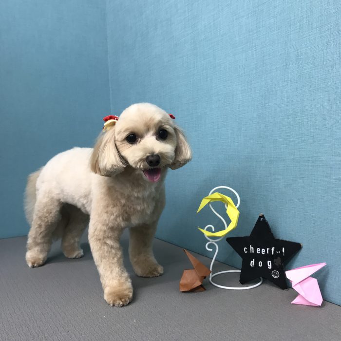 土田　ウルちゃん